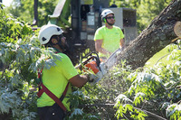 Russell Tree Experts, Landscapers on Video Chat A Pro