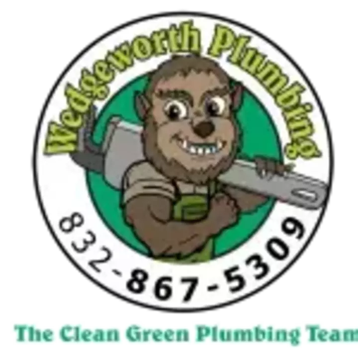 Wedgeworth Plumbing, plumbers on Video Chat A Pro