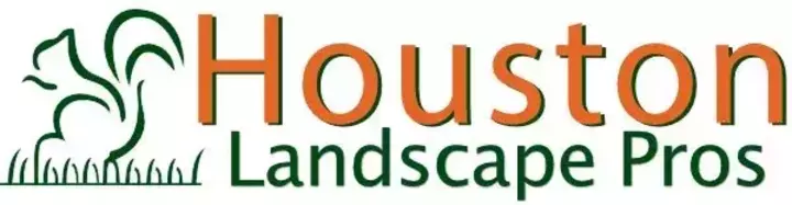 Houston Landscape Pros, landscapers on Video Chat A Pro