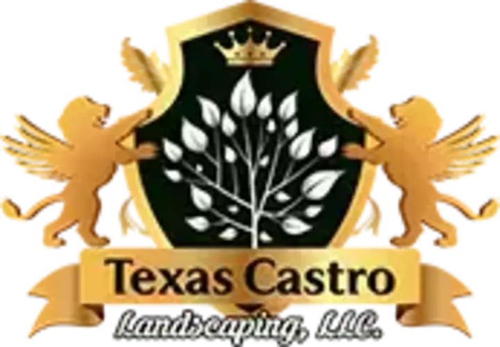 Texas Castro Landscaping, landscapers on Video Chat A Pro