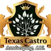 Texas Castro Landscaping, landscapers on Video Chat A Pro