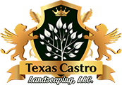 Texas Castro Landscaping, Landscapers on Video Chat A Pro
