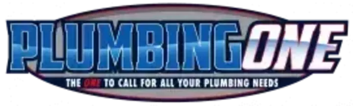 Plumbing One LLC, plumbers on Video Chat A Pro